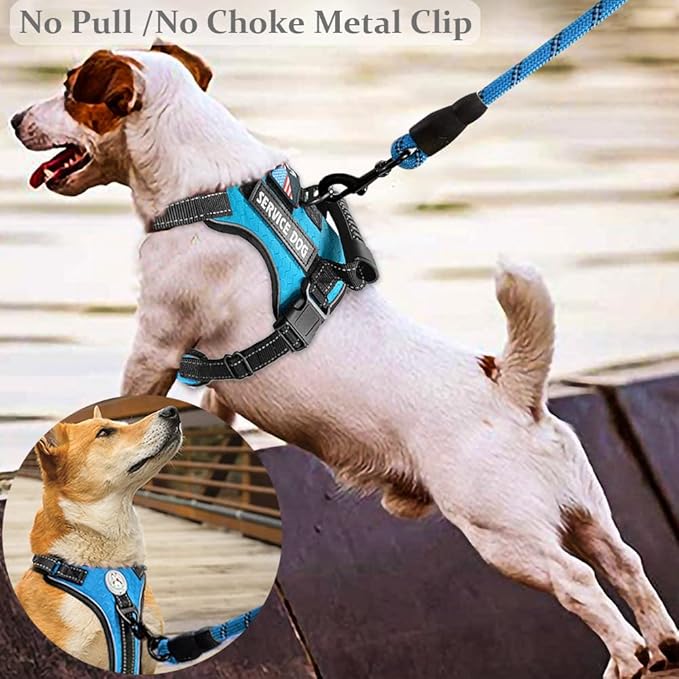 Cymiler Service Dog Vest,No-Pull Dog Harness and Leash Set,Adjustable Oxford Reflective Service Dog Vest Harness with Handle for Outdoor Walking Training,Easy Control for Small Medium Large Dogs