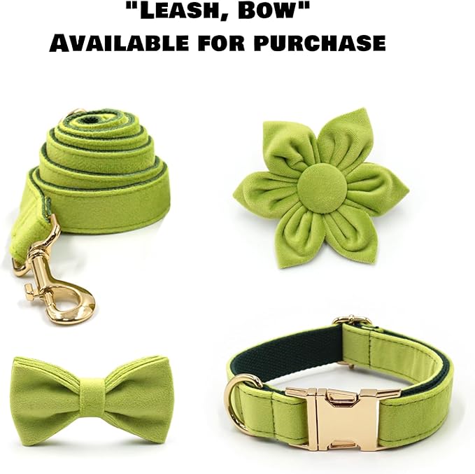 Velvet Personalized Dog Collar with Name - Customizable Dog Collar with Quick Release Metal Buckle - Leash and Bow Tie Available (Avocado Green, M)