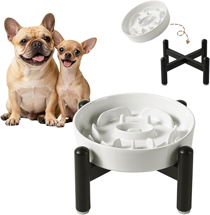 Elevated Slow Feeder Dog Bowl - Ceramic Maze Dog Food Bowl with Stainless Stand - Raised Slow Feeder for Small Breeds to Control Eating Speed - 6.3 Inch - 0.8 Cups (80g) - White