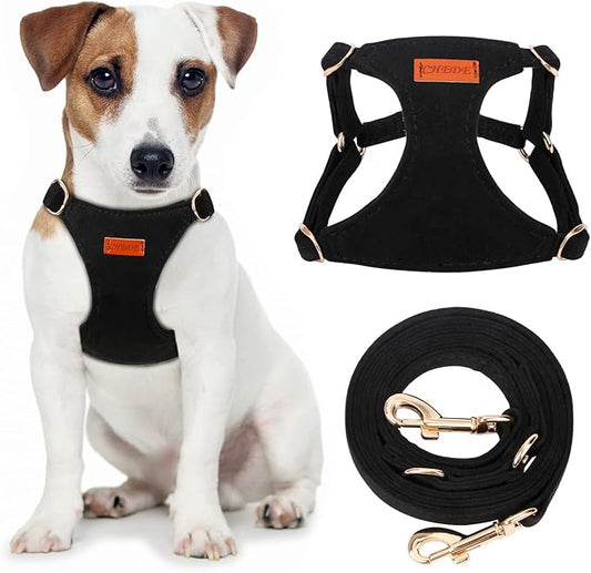 CHEDE No Pull Puppy Harness and Multifunction Dog Leash Set- 8 Colors Soft Adjustable No Choke Escape Proof Cute,Lightweight Pet Vest Harness for Small and Medium Dog (S, Black)