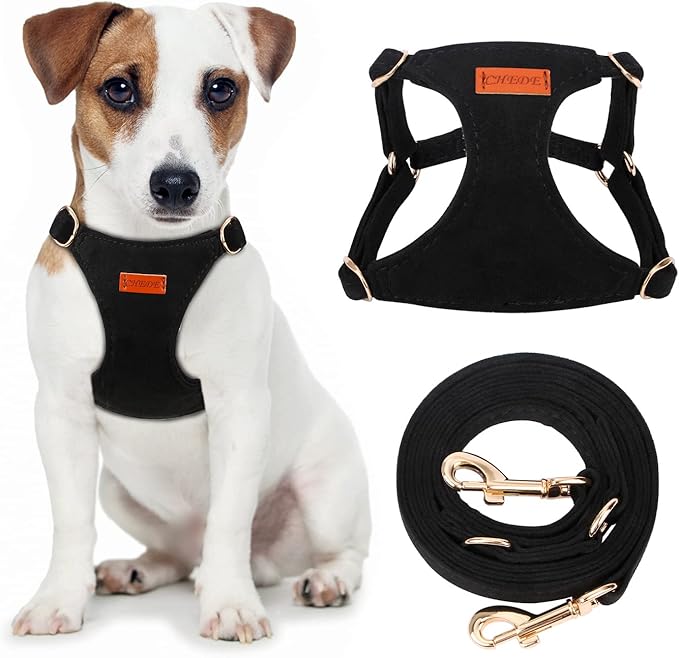 CHEDE No Pull Puppy Harness and Multifunction Dog Leash Set- 8 Colors Soft Adjustable No Choke Escape Proof Cute,Lightweight Pet Vest Harness for Small and Medium Dog (M, Black)