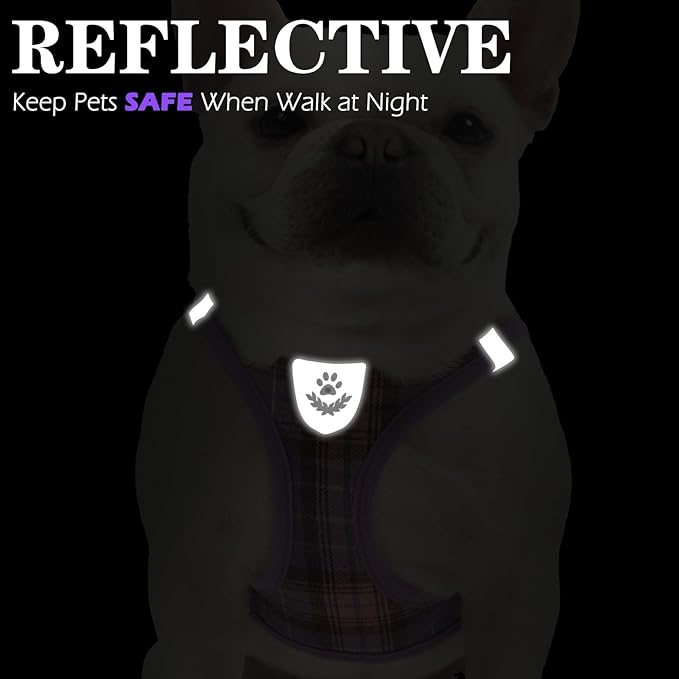 EXPAWLORER Classic Plaid Puppy Harness - Small Dog Harness and Leash Set - Dog Collar and Leash Set with AirTag Holder, Soft Padded Step in Dog Vest Harness No Pull Reflective for Outdoor, Purple M