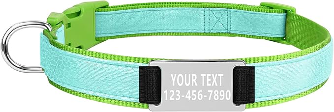 Custom Glow in The Dark Dog Collar with Name & Phone Number, Personalized Reflective Dog Collar for Small Medium Large Dog, Light Up Pet Collar with Engraved ID Tag