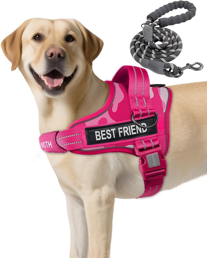 AUROTH Dog Harness and Leash Set, Soft Padded Dog Vest with 5.25FT Dog Leash, No Choke, Easy On Pet Vest, Adjustable Reflective No Pull Dog Harness for Large Dogs, Easy Walking and Training