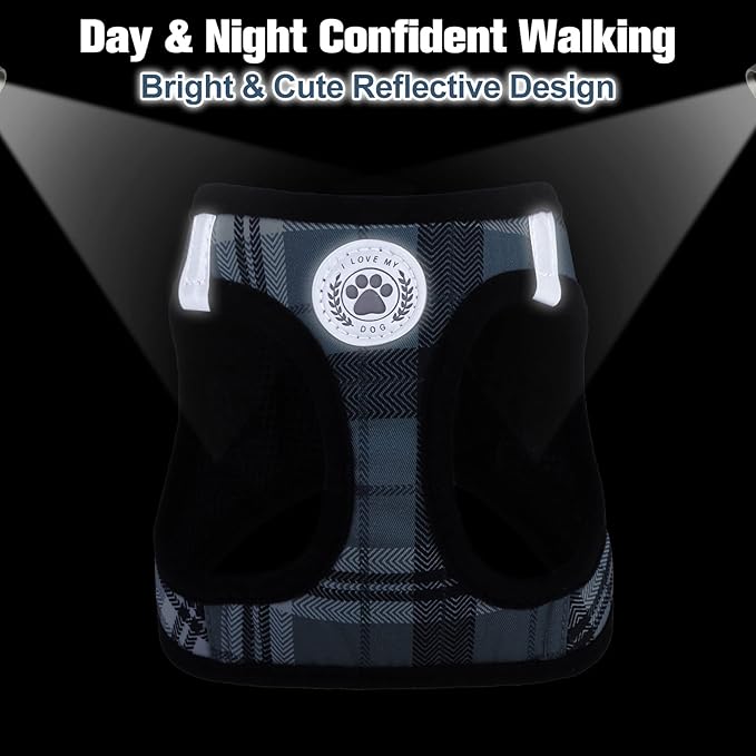 BEAUTYZOO Small Dog Harness and Leash Set,Step in No Choke No Pull Soft Mesh Dog Harnesses Reflective for Extra-Small Medium Puppy Dogs and Cats, Plaid Dog Vest Harness for XS S Pets, Grey XXS