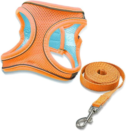 2-in-1 No Pull Dog Harness & Retractable Leash, Adjustable Dog Harness, No Pull Step-in Soft Mesh Puppy Vest Harnesses, Adjustable Puppy Vest for Small Medium Dogs and Cats