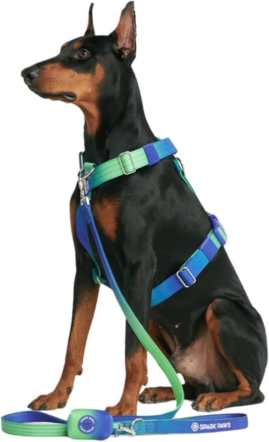 Spark Paws No Pull Dog Harness for Large Dogs, Heavy Duty Dog Harness for Big Strong Breeds, Adjustable, Y Shaped Padded Halter Design with Front Clip - Lime Wave - S