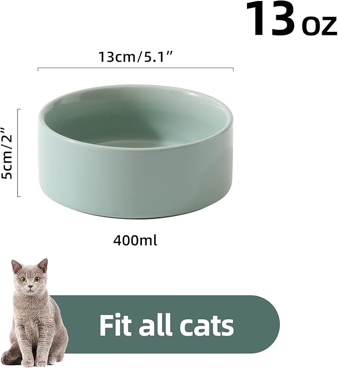 Ceramic 5.1inch Set of 2 Dog and Cat Bowls, 2pcs Anti-Slip Food and Water Feeder Dishes for Puppies, Kitties, Cats(2 Bowls, Light Green)