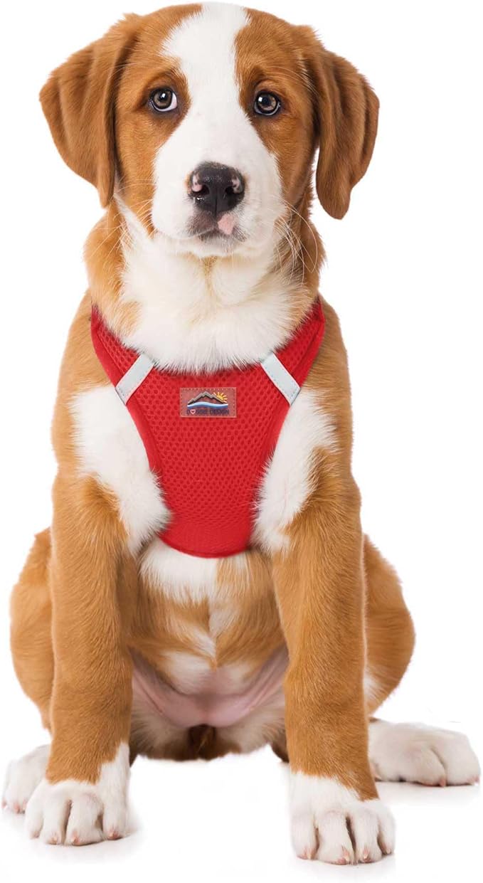 Doggie Design Dog Harness - No Choke Dog Harness, Dog Vest, Mesh Polyester, Pet Harness, Simple Step in and Go Design, Harness for Dog - Red, Large