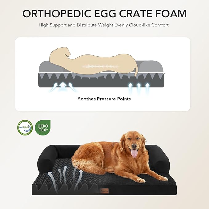Orthopedic Dog Beds for Extra Large Dogs, Waterproof Egg Crate Foam XL Dog Bed with Sides 48x30Inch, Big Dogs Couch Beds with Removable Washable Cover and Nonskid Bottom, Black