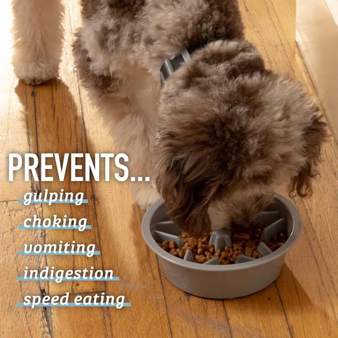 Leash Boss Slow Feeder Dog Bowls - Nonslip Slow Feeder Insert, Healthy Eating Dog Food Bowl, Includes Puppy Essentials Placemat & Star Mold, 2 Cup, Gray