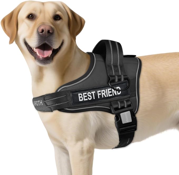 AUROTH Dog Harness No Pull Soft Padded Service Dog Vest, No Choke, Easy On Pet Vest with Handle, Adjustable Reflective Dog Harness for Small, Medium and Large Dogs, Easy Walking and Training