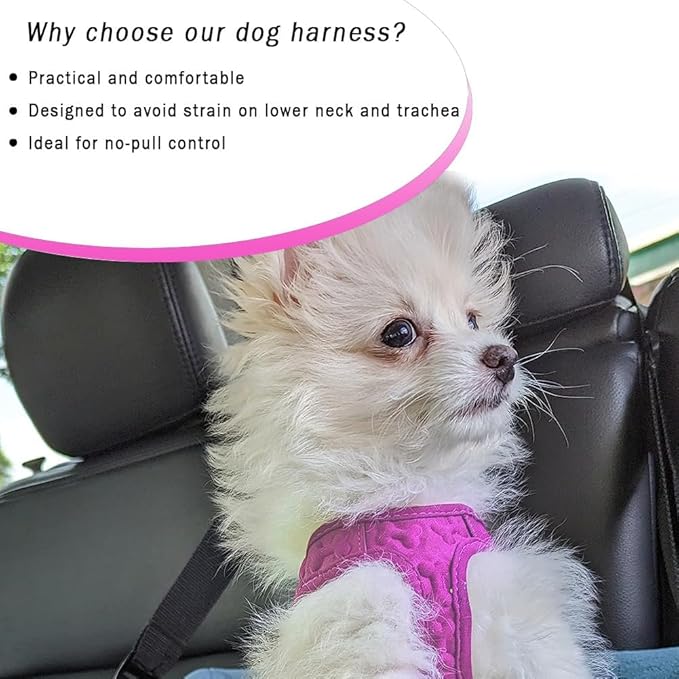 Comfort fit Step-in Dog & Puppy Harness Comfortable All Weather Dog Vest Harness: Adjustable Soft Padded Easy to Put-on for Small Medium-Sized Dogs Extra Comfort with Inside Velvet Plush