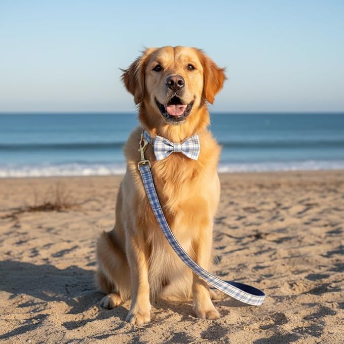 PETDURO Personalized Dog Collar Navy Blue Plaid for Large Medium Dogs | Engraved Name and Phone Number on Gold Metal Buckle for Boys | Add Leash & Bow Tie via Customize Now