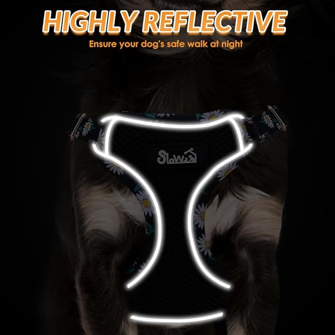 Lukovee No Pull Puppy Harness and Leash Set - Soft Lightweight Escape Proof Puppy Vest Harness, Breathable Adjustable Pet Harness with Dog Leash for Small Dogs (Black, XXS)