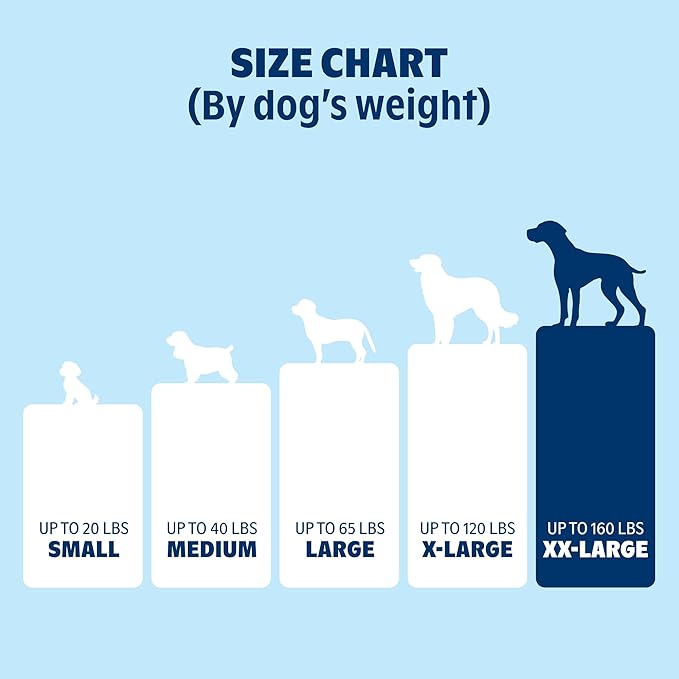 Barkbox Orthopedic Dog Bed with Memory Foam, Premium Comfort for Dogs and Puppies, Dog Bed for Joint Relief and Restful Sleep, Durable and Easy to Clean - Grey, XXL