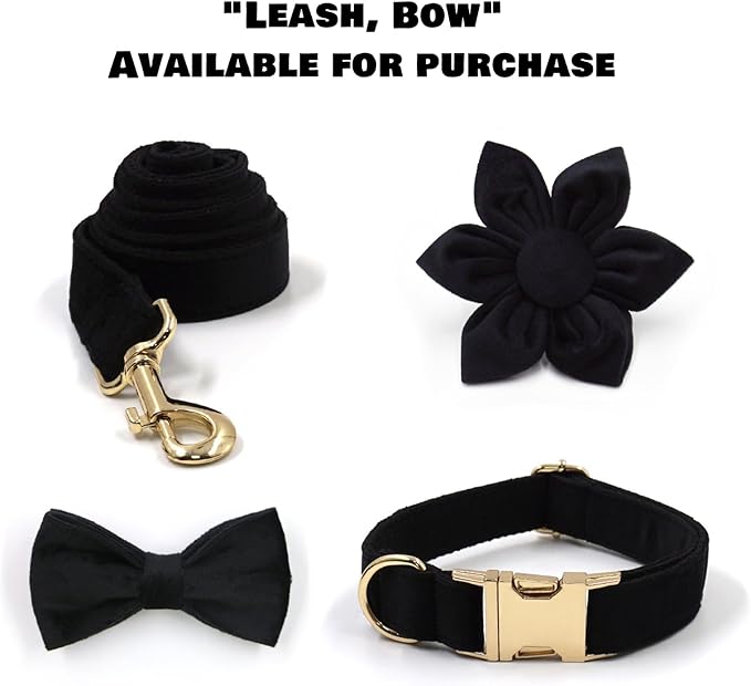 Velvet Personalized Dog Collar with Name - Customizable Dog Collar with Quick Release Metal Buckle - Leash and Bow Tie Available (Black, XS)