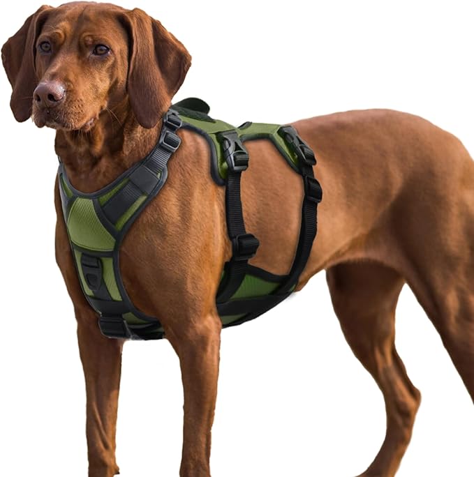 AUROTH Escape Proof Dog Harness for Large Dogs - No Pull, Soft Padded, Reflective, Adjustable Vest With Lift Handle for Walking, Hiking, Training