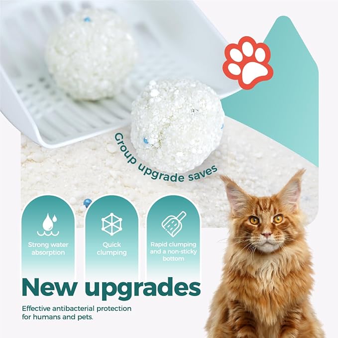 Tapioca Cat Litter, Cassava Cat Litter Odor Control Dust-Free Clumping Litter