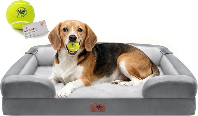 Orthopedic Dog Beds for Large Medium Dogs, Big Waterproof Memory Foam Pet Couch Bolster Bed with Removable Washable Cover, 36x27 Inch