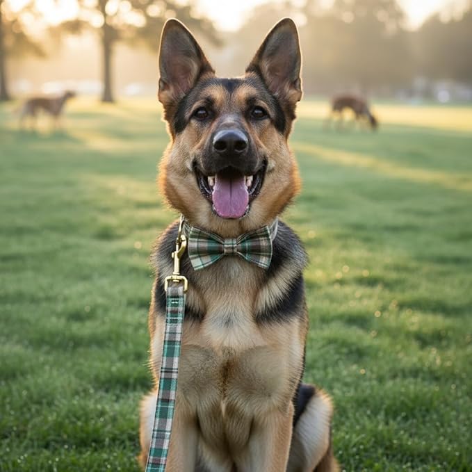 PETDURO Personalized Dog Collar Brown Green Plaid for Large Medium Dogs | Engraved Name and Phone Number on Gold Metal Buckle for Boys & Girls | Add Leash & Bow Tie via Customize Now