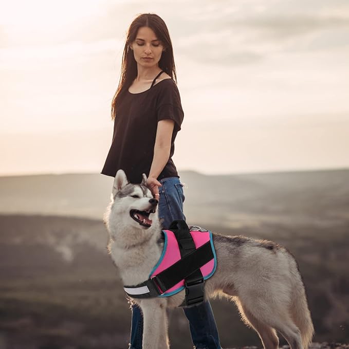 Bolux Dog Harness, No-Pull Reflective Dog Vest, Breathable Adjustable Pet Harness with Handle for Outdoor Walking - No More Pulling, Tugging or Choking Small (Pack of 1) RoseTurquoise