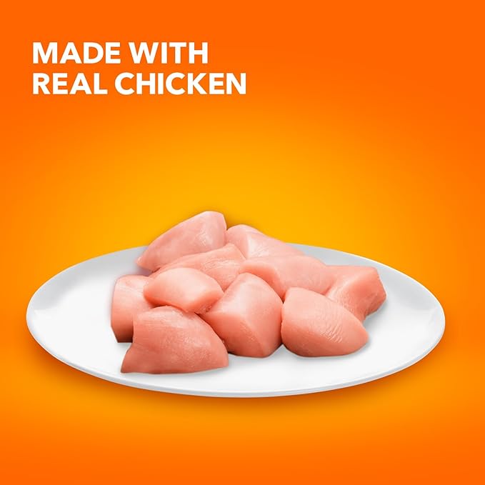 IAMS Proactive Health Healthy Kitten Dry Cat Food with Chicken, 7 lb. Bag