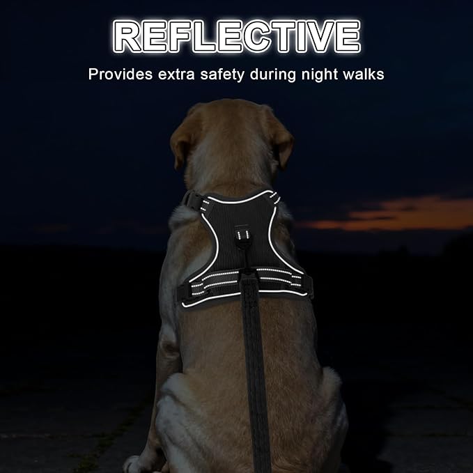 BEAUTYZOO No Pull Dog Harness Large, Adjustable Dog Harness and Leash Set -Easy Wearing with 3 Buckles/Control Handle,No Choke Soft Padded Reflective Pet Vest for Training Walking Hiking,Grey M