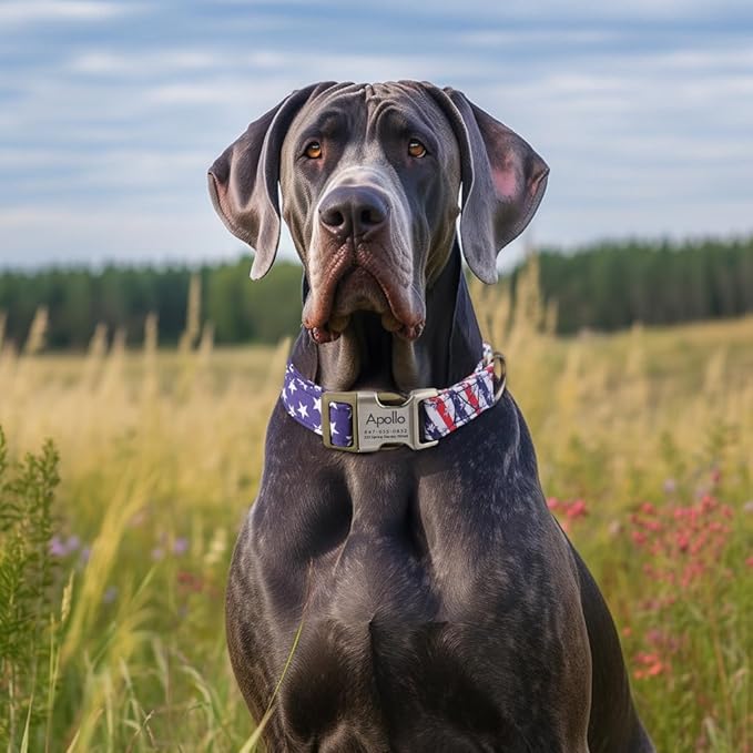 Personalized Dog Collar with Name and Phone Number Engraved,Adjustable Custom Puppy Collar,Organic Cotton Pet Collar for Small Medium Large Boy Girl Dogs