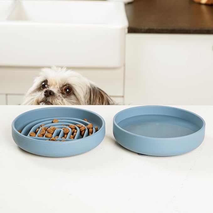 Should We Go? Slow Feeder for Dogs & Cats, The Slowdown Bowl Silicone Slow Eating Mealtime Solution with Modern Lick Mat Design, Reduces Gulping, Fits 1 Cup, 6” Across x 1.25” Tall, Small-Terracotta