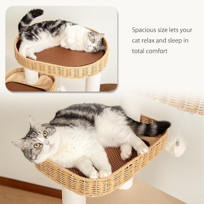 48'' Natural Wood Cat Tree with Rattan Beds & Clear Acrylic Bowl, Multi-Level Cat Tower for Indoor Cats, Modern Wooden Cat Condo with Scratch Posts (Dark Brown)