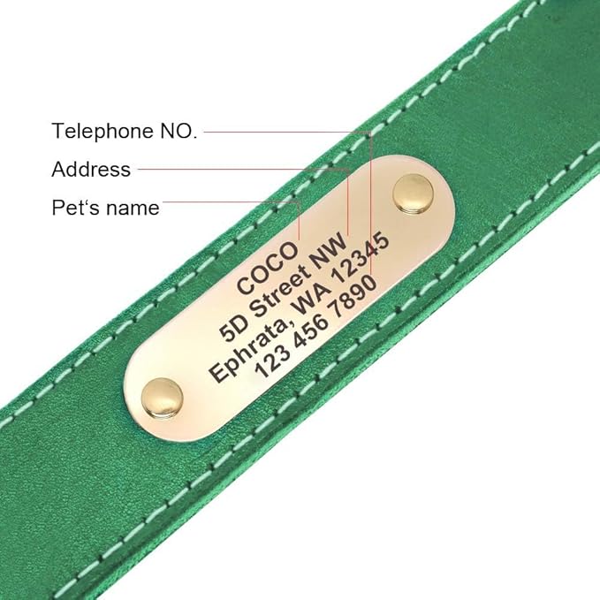 Didog Genuine Leather Dog Collars with Engraved Nameplate, Personalized Soft Leather Dog Collar with Custom ID Tag, Brown/Green/Red for Medium Large Dogs (XXL,Green)