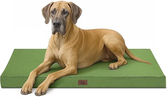 Outdoor Extra Large Dog Bed, Jumbo Waterproof Dog Bed for Large Dogs, Orthopedic Egg Crate Foam Pet Mat with Removable Oxford Cooling Cover, Light Green