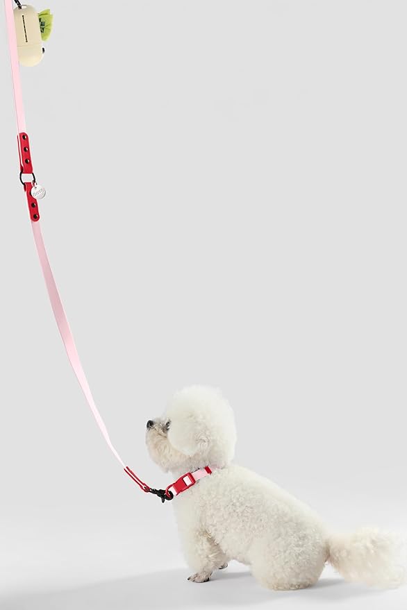 WLK1004G-5SET Luna Small 8FT Adjustable 6-in-1 Waterproof Hands-Free Leash and Collar with LED Flashlight, Bag Dispenser, and Poop Bag Holder, Paloma