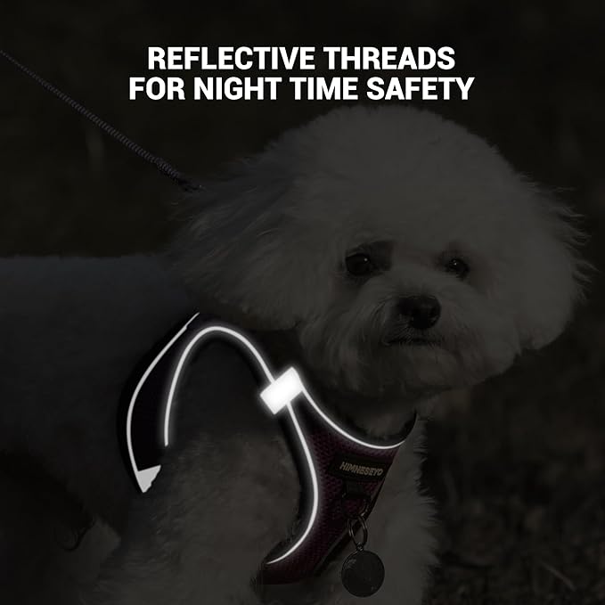 Dog Harness and Leash Set, Dog Harness for Dogs No Pull, No-Chock Step-in Reflective Breathable Lightweight Easy Walk Vest Harnesses with Safety Buckle for Small Medium Dogs, Cats (Purple, XS)