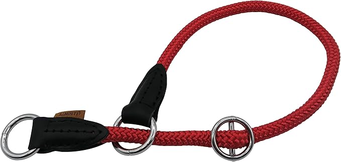 Braided Round Martingale Dog Collar, Training Collar with Slidable Stop Ring - Ideal for Small Medium Dogs (M- (1/3") - 18" Long, Red)