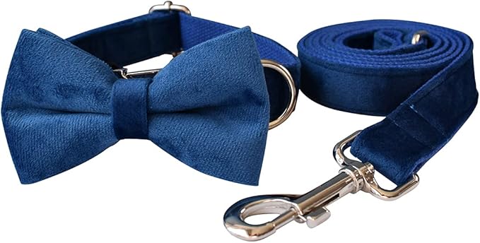 Dog Collar Custom Personalized Engraved Name and Phone Number for Puppy Small Medium Large Pets (M, Blue)