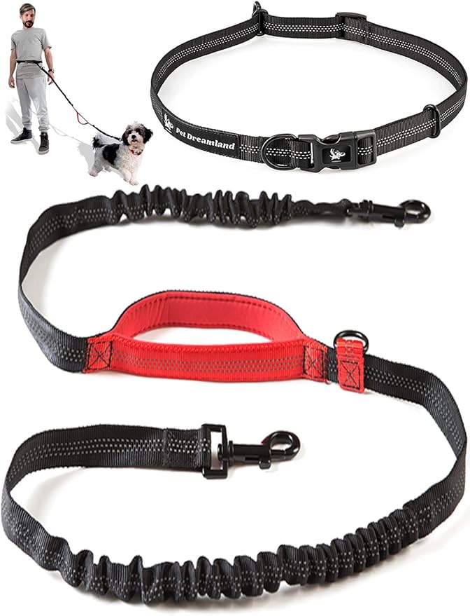 Exquisite Hands-Free Leash for Medium Dogs: Perfect for Active Pet Owners Comfortable, Durable & Ideal for Running, Walking, Hiking. Premium Dog Waist Leash with Bungee. Must-Have Dog Gear