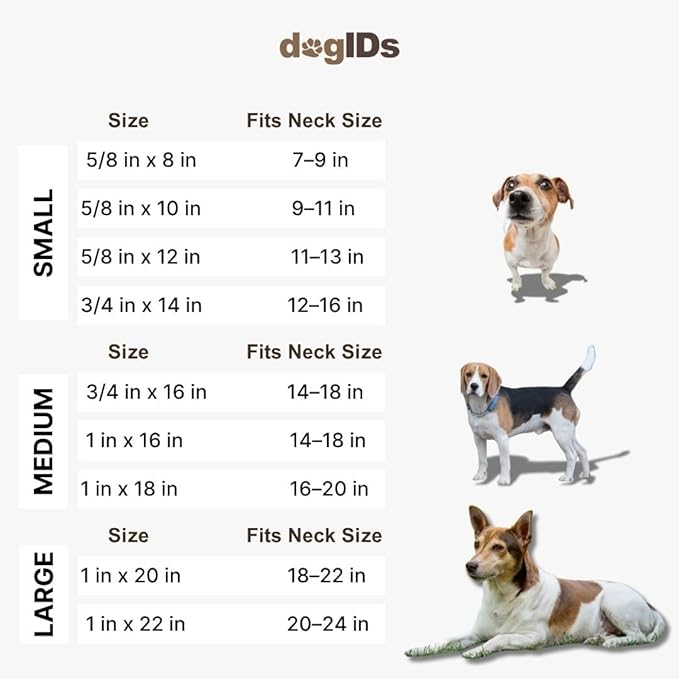 dogIDs Personalized Dog Collar – ScruffTag Custom Waterproof Biothane Dog Collar with Laser-Engraved Name, Durable & Odor-Resistant – USA Made | Bright Green, 1 in x 22 in (Fits Neck Sizes 20-24 in)