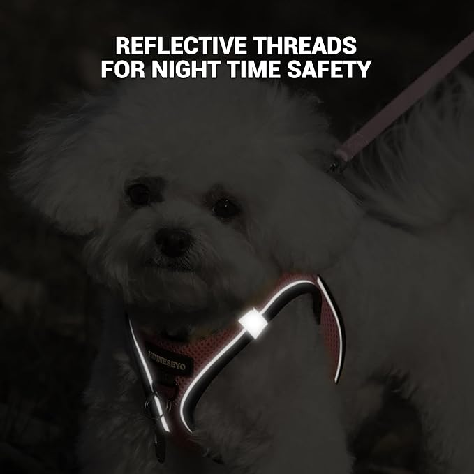 Dog Harness and Leash Set, Dog Harness for Dogs No Pull, No-Chock Step-in Reflective Breathable Lightweight Easy Walk Vest Harnesses with Safety Buckle for Small Medium Dogs, Cats (Pink, XL)