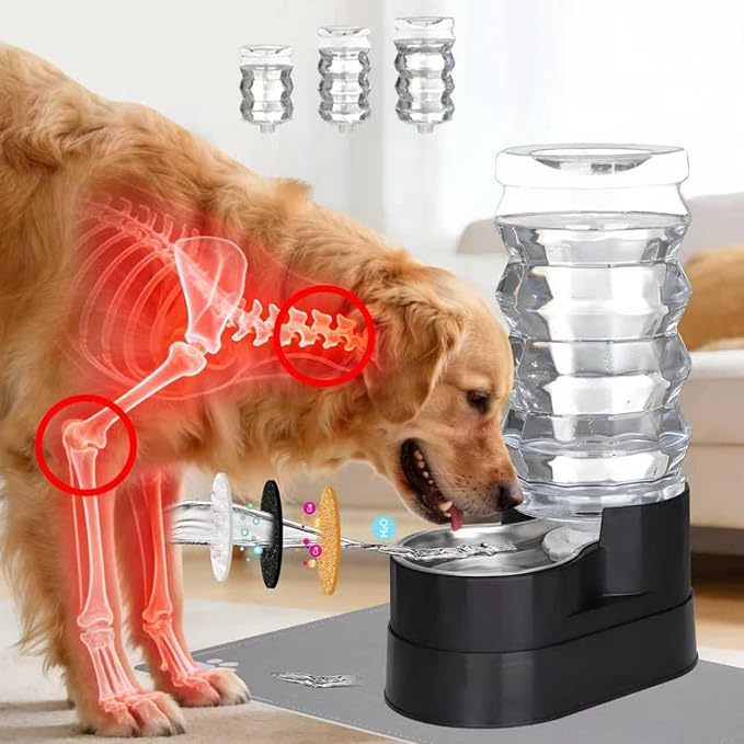 RIZZARI Upgraded Automatic Dog Water Dispenser: 9L Black Gravity Large Stainless Steel Raised Pet Feeder with Filter - Includes 2 Extra Filters & 2 Bottle Caps - Pet Feeder for Dogs Indoor Outdoor