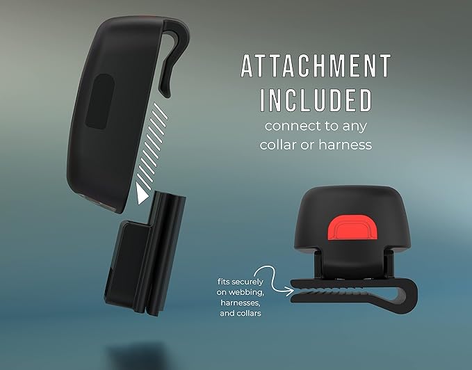 TUG Oval 360° Tangle-Free Retractable Dog Leash | Flashlight Included | Integrated Waste Bag Dispenser Pocket (Small, Black)