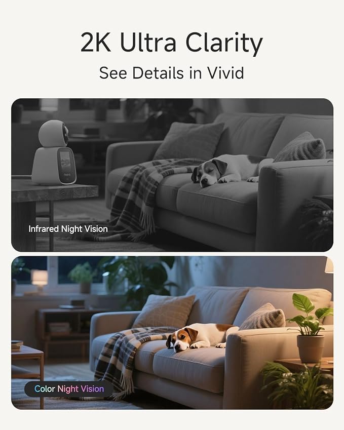 Noorio 5G Two Way Video Calling Camera, One Click Call 2K Pet Camera with Phone App, 360° PTZ Dog Cam with Speaker, Color Night Vision, 2.4 Inch Screen, CL200 2Pcs