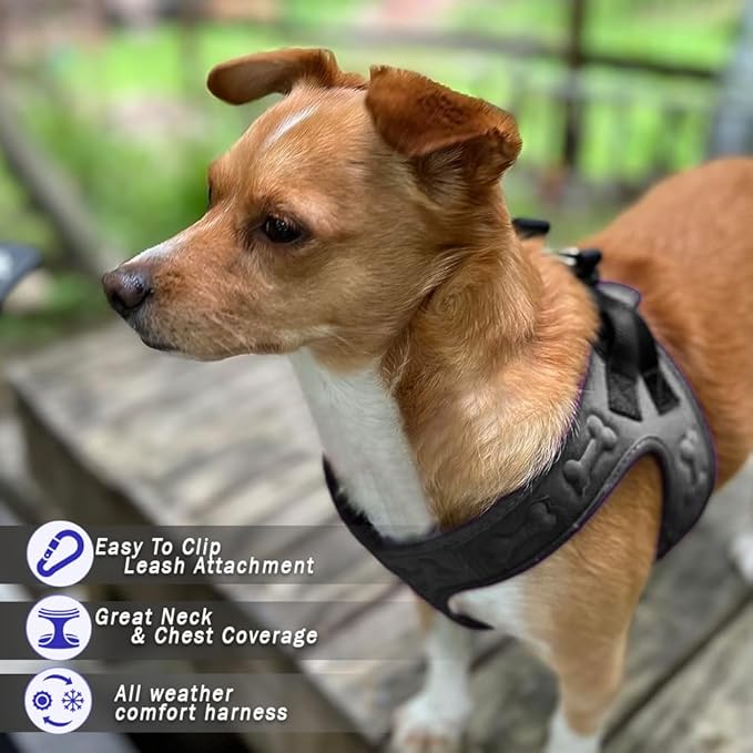 Comfort Fit Dog Harness Soft Padded No Pull Harness with Adjustable Buckles for Small Medium Large Dogs Step in Pet Vest with Easy Control Handle for Walking Jogging Running Training Dogs & Puppies