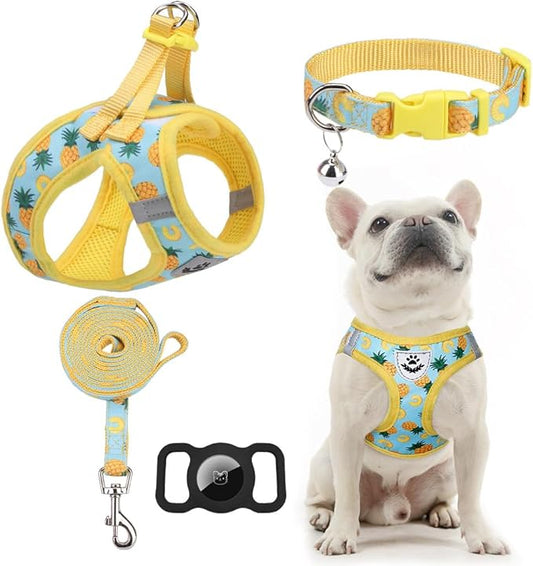 EXPAWLORER Small Dog Harness and Leash Set - Cute Puppy Harness Leash Dog Collar with AirTag Holder Silicone Case, Soft Padded Step in Pet Vest Reflective for Outdoor Walking, Pineapple S