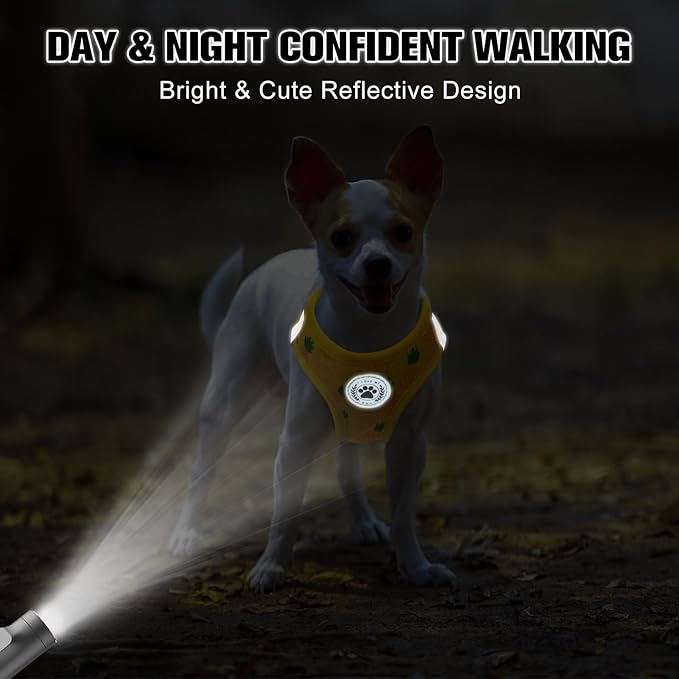 BEAUTYZOO Step in Dog Harness and Leash Set,Reflective Dog Harness No Pull No Choke Puppy Harness for Small Medium Large Dogs Cats,Soft Padded Mesh Vest Harnesses for Girl and Boy Pets, Pineapple S