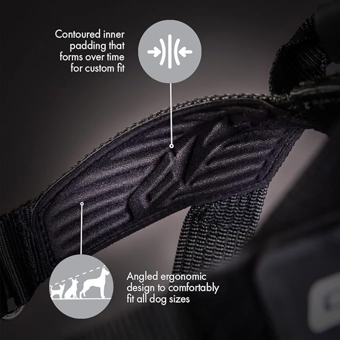 EzyDog Express Dog Harness - Adjustable Dog Harness for Large, Medium, and Small Dogs with Padded Ergonomic Anti-Chafing Design, Grip Handle, & Easy Side Buckle (XS, Pink)