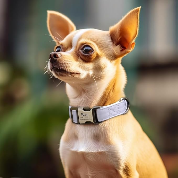 Personalized Dog Collar with Name and Phone Number Engraved,Adjustable Custom Puppy Collar,Organic Cotton Pet Collar for Small Medium Large Boy Girl Dogs