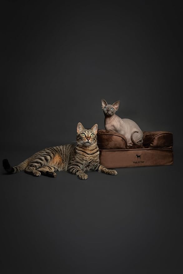 NOAH & PAW Small Dog Bed, 20x15x8 Inch, Cat Bed for Indoor Cats, Orthopedic Eggshell Memory Foam Infused with Cooling Gel, Waterproof Inner Cover Machine Washable (Velvet Collection)