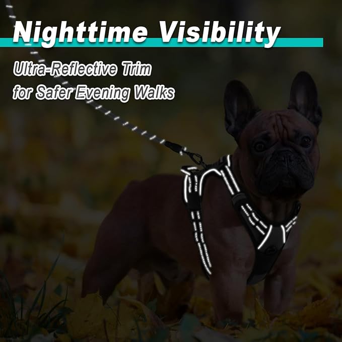 BARKBAY Dog Harness No Pull for Small Dogs - Adjustable, Reflective, Comfortable, No Choke, Heavy-Duty - Perfect for Outdoor Training, Walking, and Hiking - Strong & Durable - XS & Dark Grey